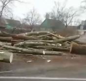 В аварии в Ружанах погибли 6-месячный мальчик и его бабушка: на людей упали брёвна из лесовоза