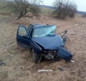 Volkswagen столкнулся с молоковозом в Каменецком районе
