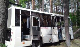 Водителю стало плохо, он погиб: рейсовый автобус врезался в дерево в Воложинском районе