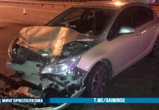 Семья с тремя детьми пострадала в аварии на МКАД. Водитель тормозил из-за животного на дороге
