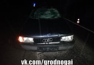 В Гродненском районе Audi сбила нетрезвого пенсионера на проезжей части 