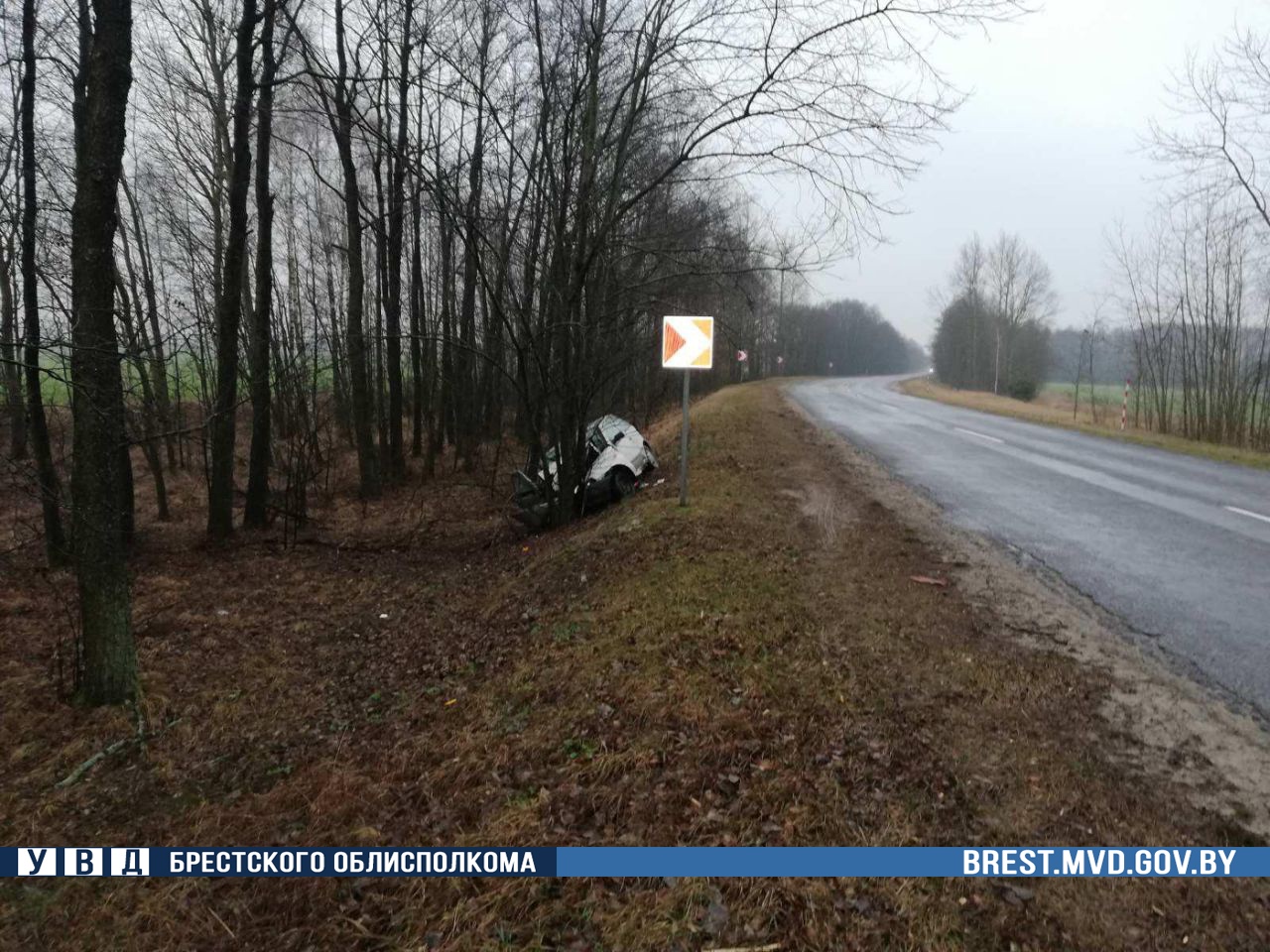 В Кобринском районе Fiat съехал в кювет и врезался в дерево-1