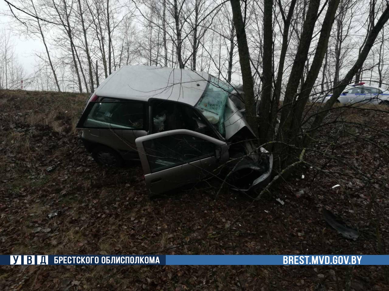 В Кобринском районе Fiat съехал в кювет и врезался в дерево-4