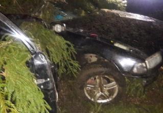 В Полоцком районе BMW врезался в дерево: погиб 17-летний пассажир