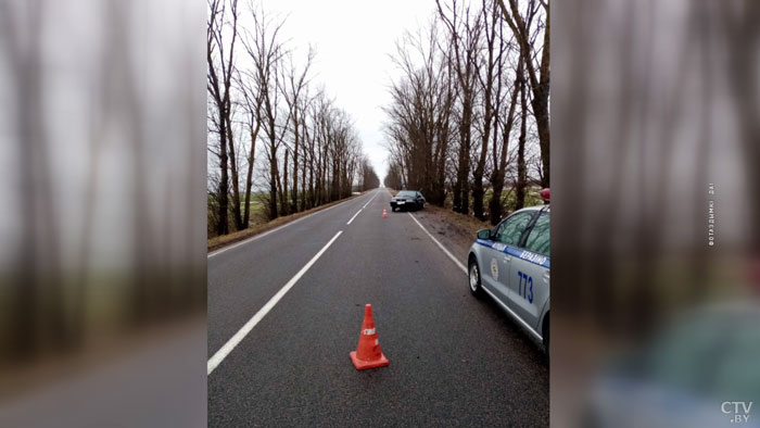В Березинском районе автомобиль съехал в кювет и врезался в дерево. Пострадал 12-летний мальчик-1