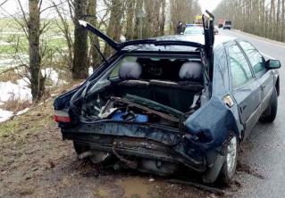 В Березинском районе автомобиль съехал в кювет и врезался в дерево. Пострадал 12-летний мальчик