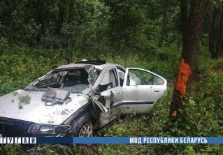 Под Минском Volvo перевернулся и врезался в дерево, погибла женщина 