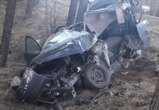 В Докшицком районе Citroen съехал в кювет, водитель погиб 