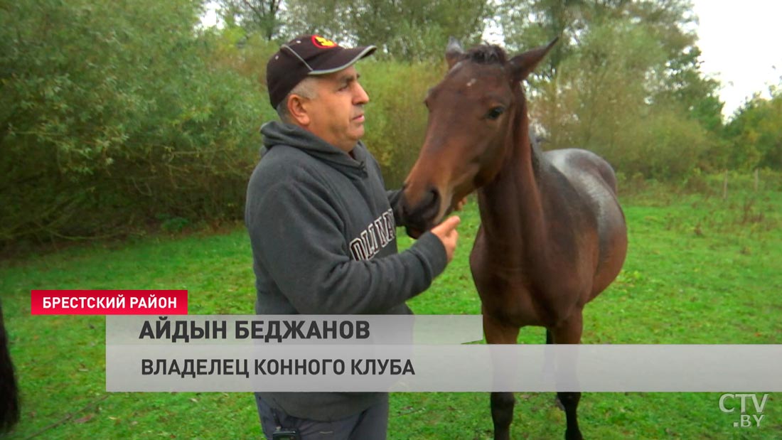 «В Беларуси никто, кроме нас, не сажает на лошадей взрослых инвалидов-колясочников». Как работает конный клуб под Брестом-28