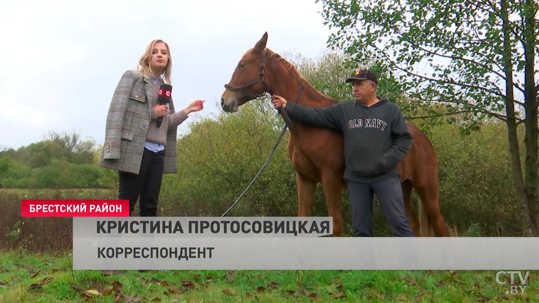 «В Беларуси никто, кроме нас, не сажает на лошадей взрослых инвалидов-колясочников». Как работает конный клуб под Брестом-34