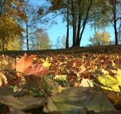 Аномально тёплая погода продержится в Беларуси до середины недели
