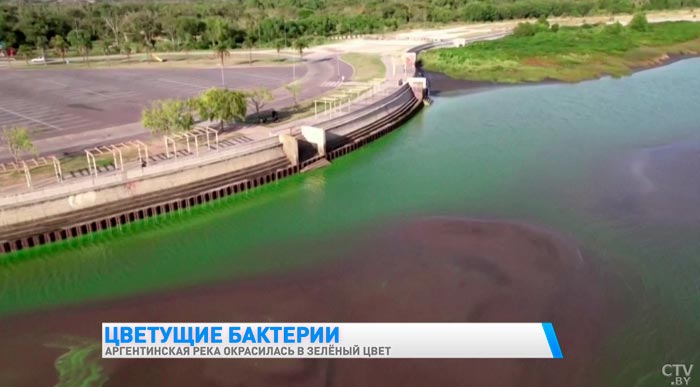 В реках аргентинской провинции Буэнос-Айрес обнаружили много бактерий. Вот из-за чего это произошло-1