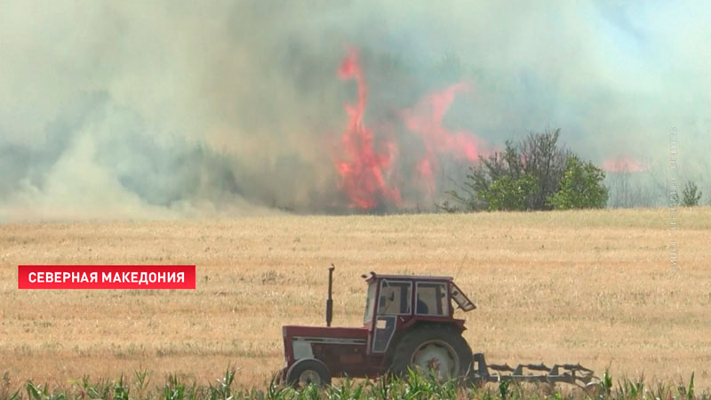 Сильные пожары на Балканах мешают фермерам убирать зерно с полей