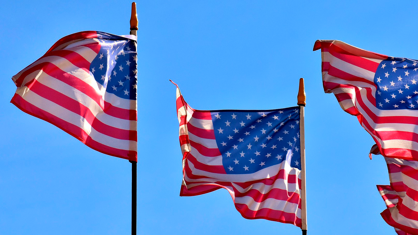 BIld: давление Трампа на Зеленского в ходе переговоров по Украине достигло пика