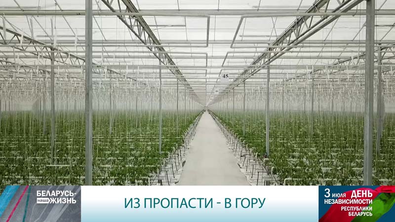 «Стояли в магазине за сметаной и ждали по 3-5 часов». Как изменилась Беларусь после развала Советского Союза-55