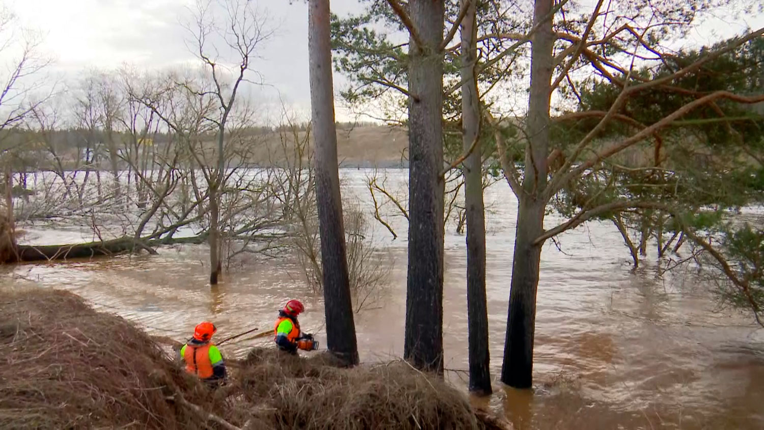 Белгидромет: уровень воды в реках страны растёт