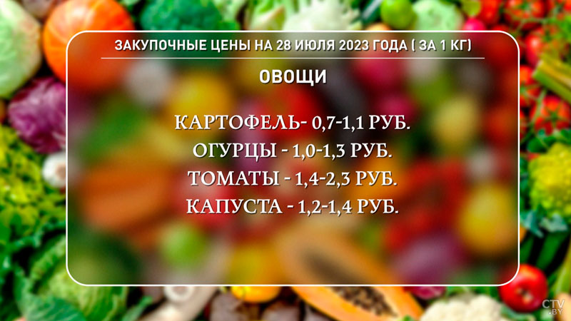 Белкоопсоюз: мы готовы закупить всё, что население нам предложит-1