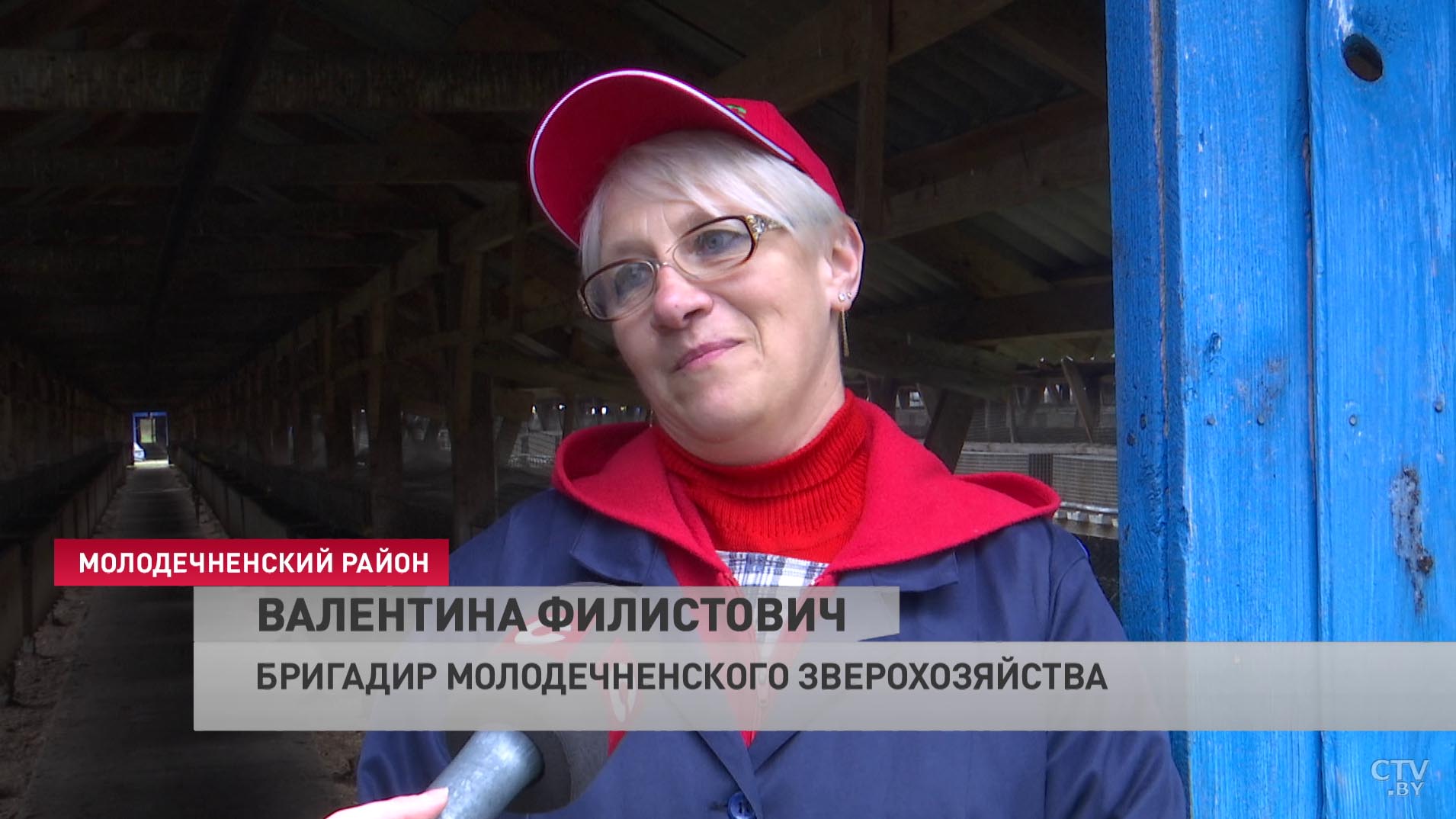 «200 человек приехали с удовольствием». Белкоопсоюз провёл субботник в хозяйстве по выращиванию норок-13