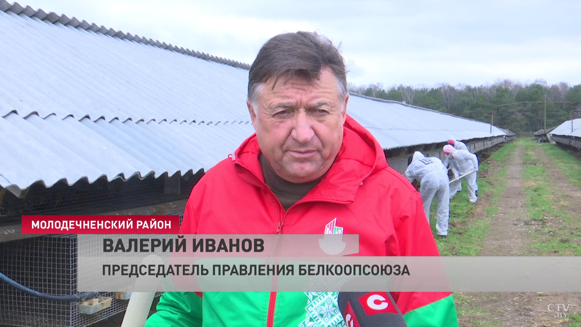 «200 человек приехали с удовольствием». Белкоопсоюз провёл субботник в хозяйстве по выращиванию норок-22