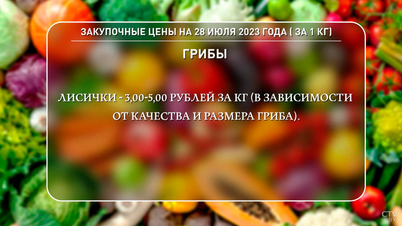 Белкоопсоюз: мы готовы закупить всё, что население нам предложит-9