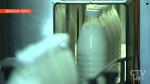 Россельхознадзор снял запрет на поставки молочной продукции с трёх белорусских предприятий 