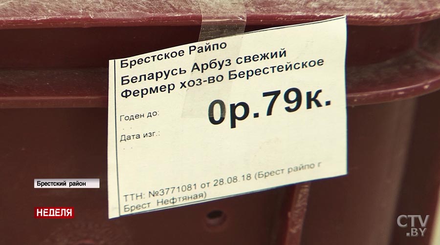 «Слышала, продаются где-то»: как найти в продаже белорусские арбузы? Эксперимент СТВ-25