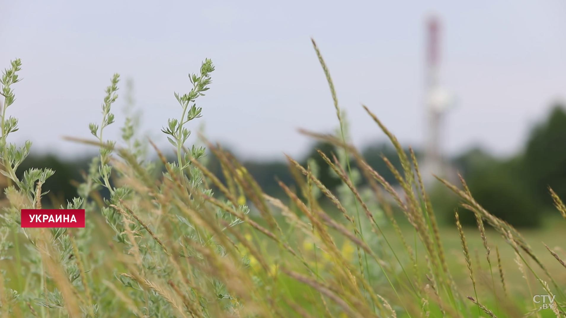 Каждая вторая тонна добыта за границей. Почему белорусских нефтяников высоко ценят и в каких странах они работают?-41