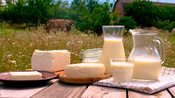 Пища, созданная самой природой! С чего начинается белорусское молоко? Смотрите «Со знаком качеСТВа»