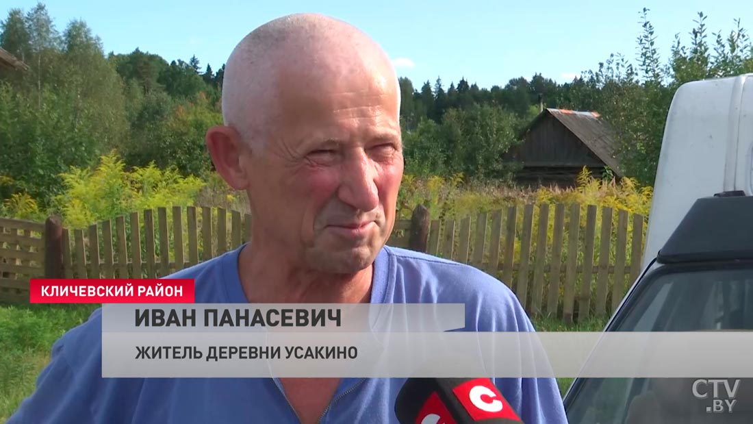 «При желании и больше». Белорусы рассказали, сколько зарабатывают на сборе грибов-19