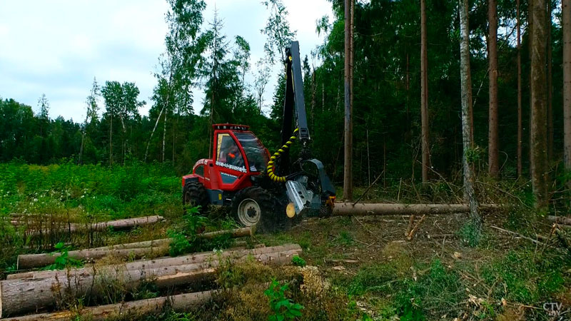 В экономике Беларуси заняты более 4 млн человек-1