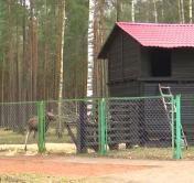 Березинский заповедник подтвердил право на Европейский диплом для охраняемых территорий