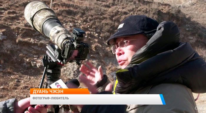 Китайский фотограф снял редкие кадры нападения беркутов на ягнят-1