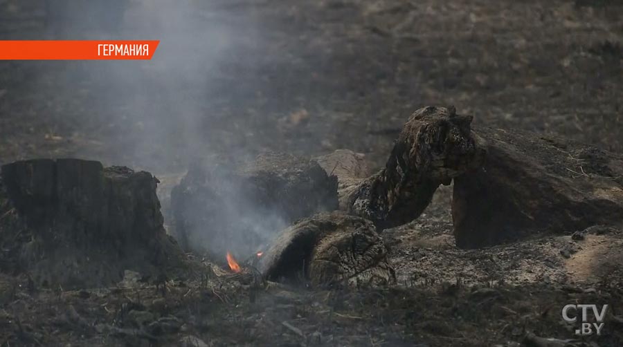 Под Берлином из-за пожара в лесах взрываются снаряды времён Второй мировой-1