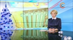Застрял в чугунной батарее: МЧС спасли ребенка в Минском районе