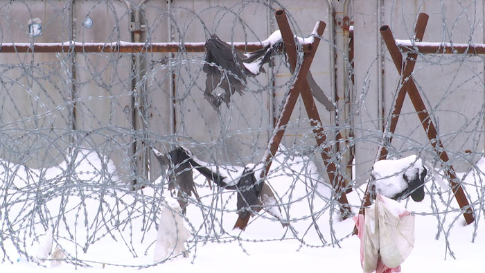 Польша официально признала факт вывоза на границу более 50 тысяч беженцев