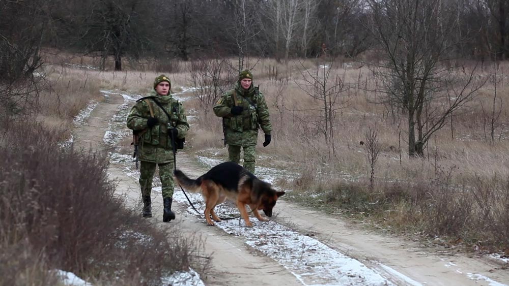 ГПК: литовские пограничники пытались вытеснить пятерых беженцев в Беларусь
