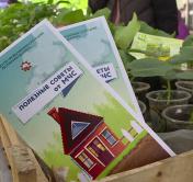 «Безопасная рассада». МЧС запускает совместный проект с продавцами на рынках Гомельской области