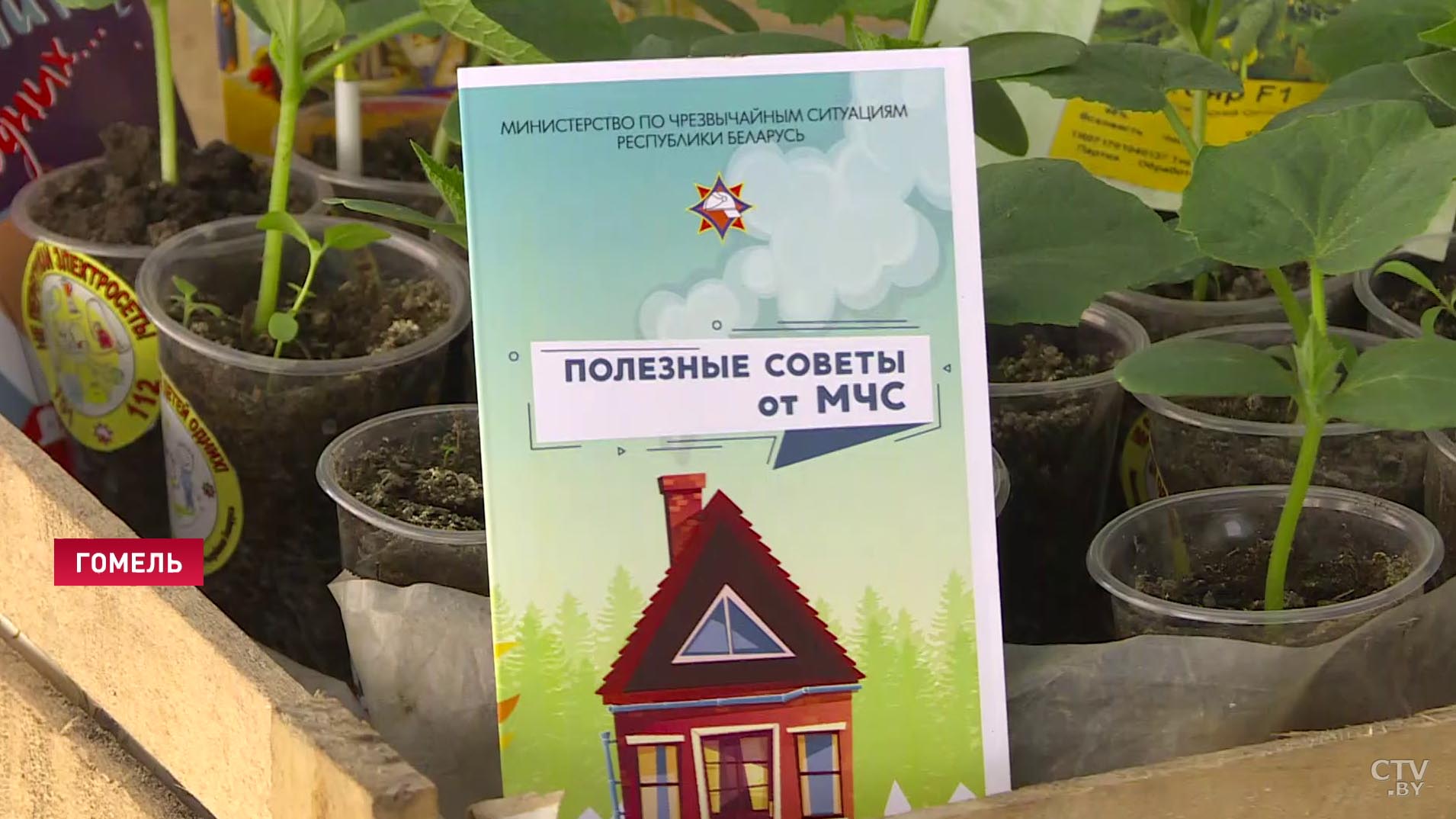 «Безопасная рассада». МЧС запускает совместный проект с продавцами на рынках Гомельской области-13