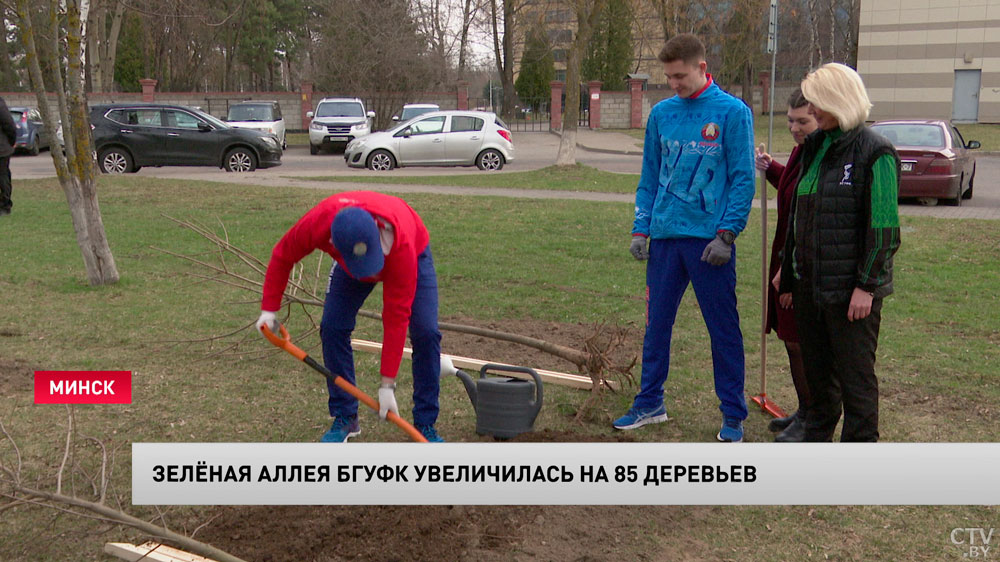 Каждый год сажаем деревья. Министр спорта Беларуси присоединился к акции «Неделя леса»-9