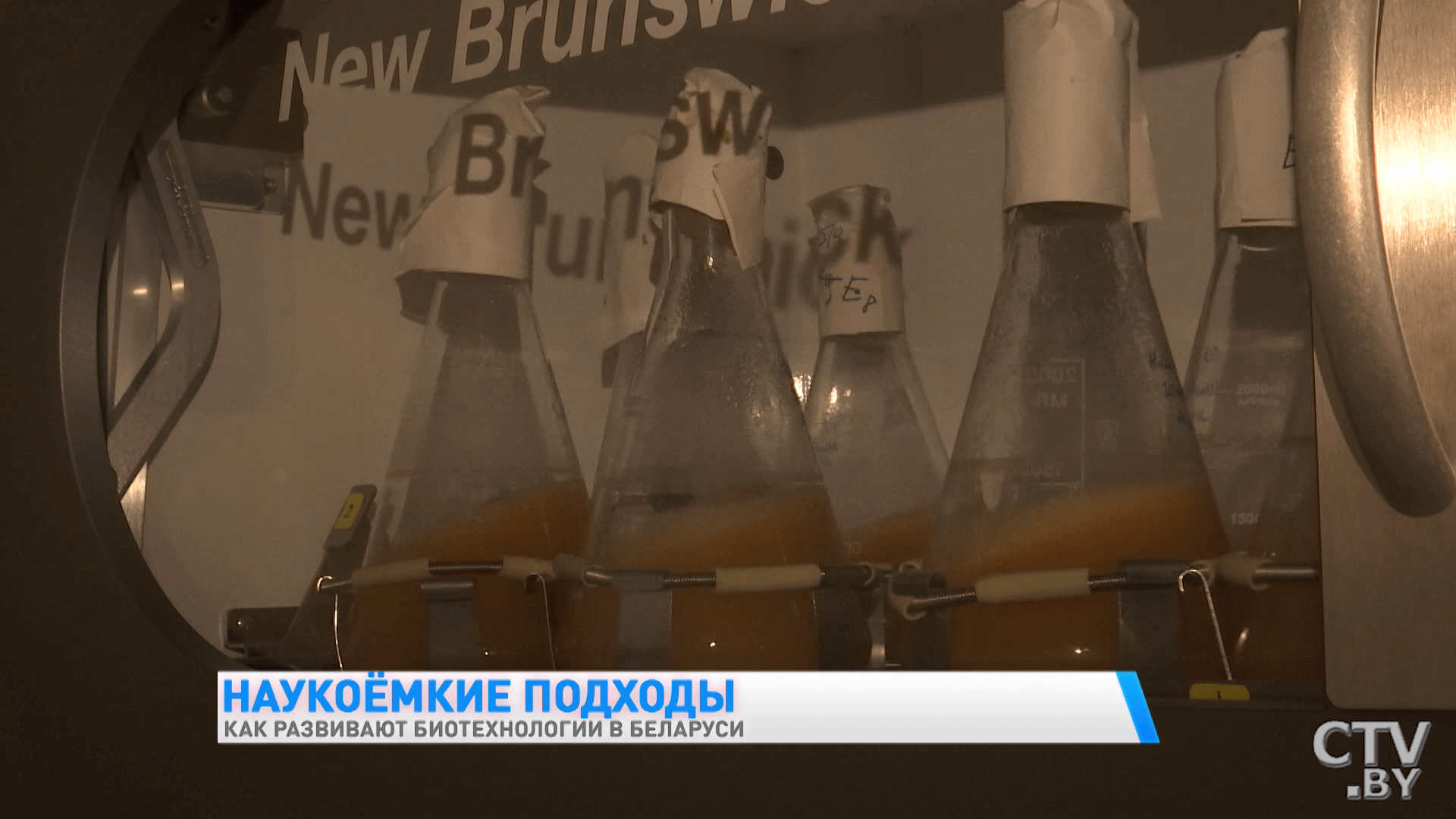 Повысить урожайность почв и производить меньше пластика. Как развиваются биотехнологии в Беларуси -13
