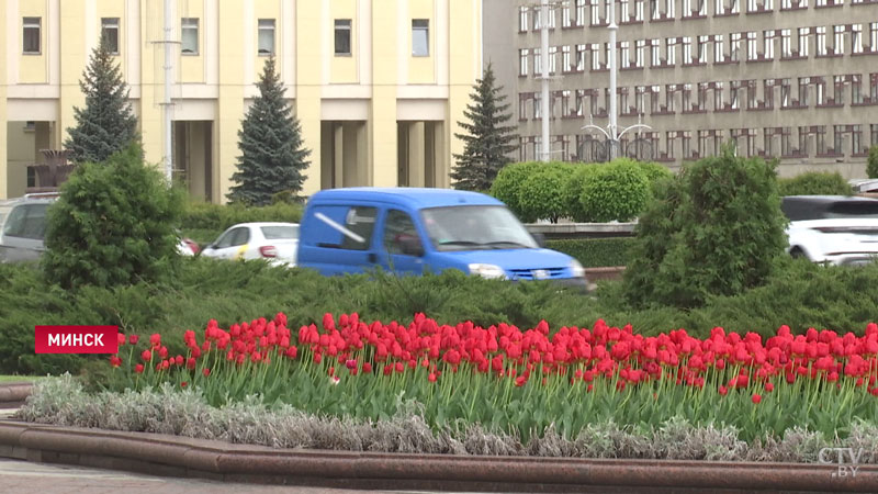 Белорусские политологи и социологи предлагают новые способы борьбы с фейками-7