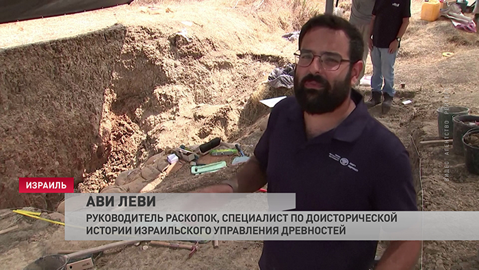 Окаменелый бивень древнего слона обнаружили на юге Израиля-1