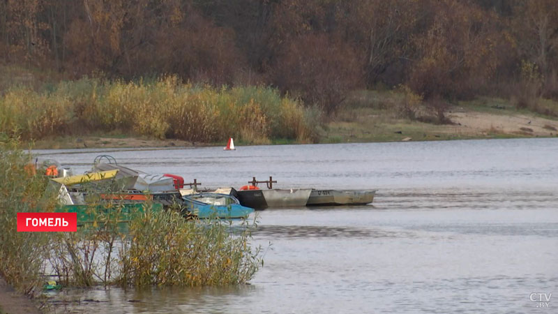 Водолазы ОСВОД нашли в Гомеле кости древнего бизона-1