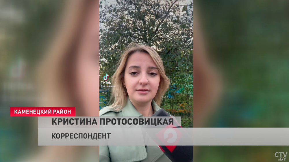 «Не видите ошибок у нас?» Блогер Димасик Комарик оценил TikTok телеканала СТВ-12