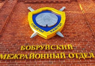 В Бобруйске мужчина избивал жену на глазах у детей
