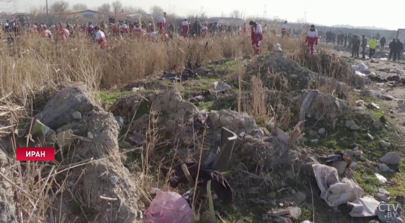 В Иране создали рабочую группу для консульской помощи жертвам авиакатастрофы-1