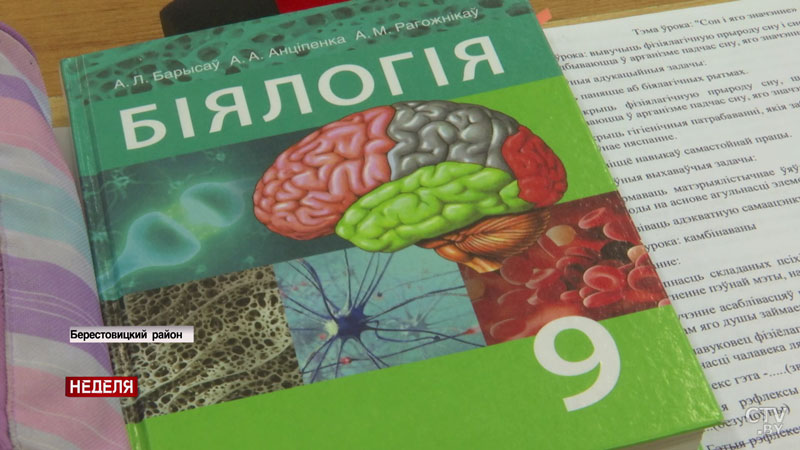 «Думала, что стану учителем русского языка и литературы. Но потом что-то пошло не так». Была ученицей, а теперь преподаёт в своей школе-4