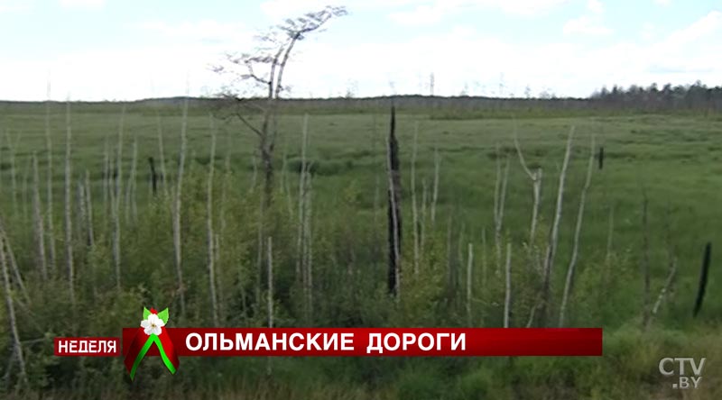 Резонансная тема: через Ольманский заказник строят новые дороги. Что думают об этом жители Полесья? -7