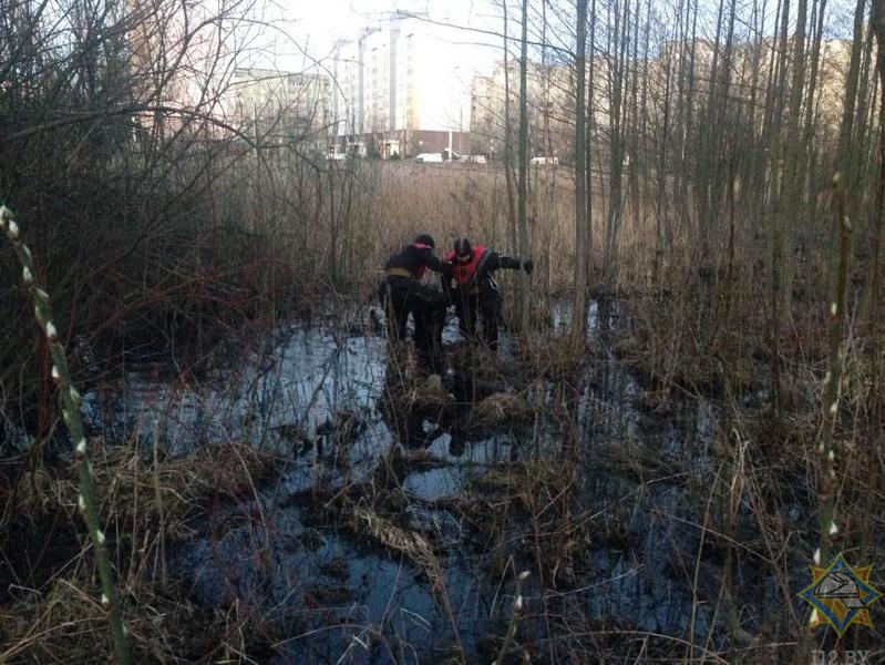 В Минске спасли мужчину, застрявшего в болоте у Свислочи-1