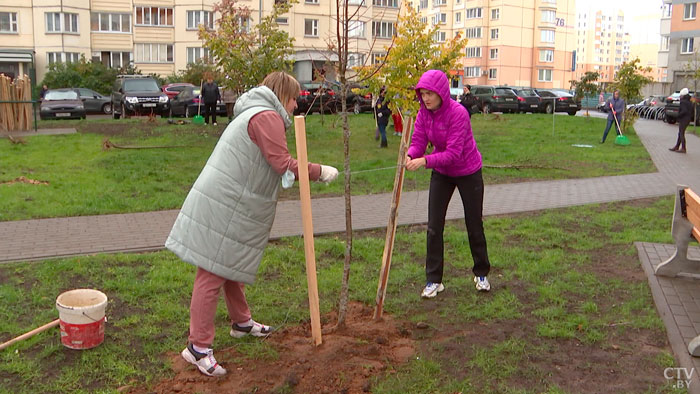 Это касается каждого белоруса. Как Минск ориентирован на приоритеты, которые озвучил Президент в Послании?-16